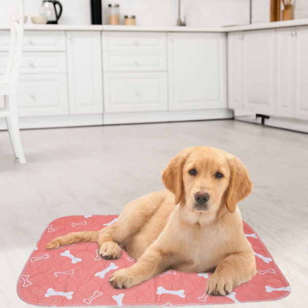 Eco Pet Mats